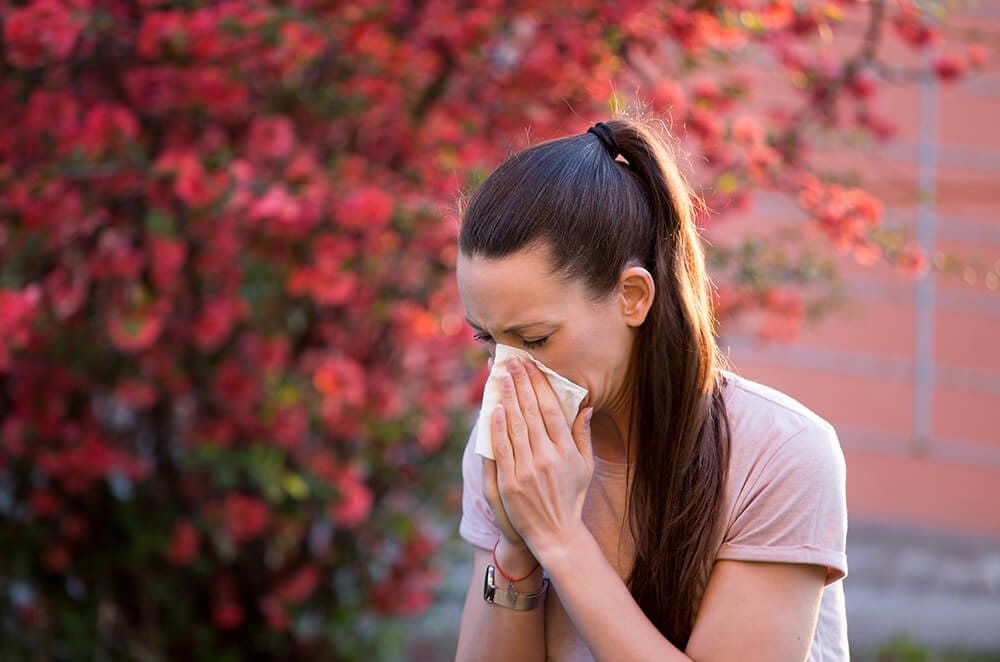 What Is Pollen Allergy: Meaning, Symptoms, Treatment & What Is Pollen All Home Remedies